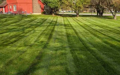 Photo of Austin G.'s yard after getting lawn care in Swartz Creek, MI