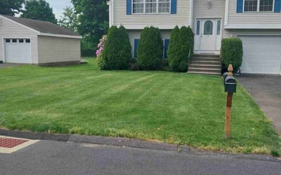 Photo of Glory F.'s yard after getting lawn care in Plainville, CT