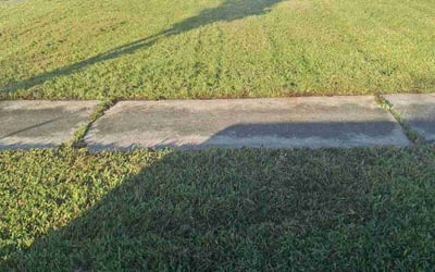 Photo of Jeremiah S.'s yard after getting lawn care in Edgewater, MD