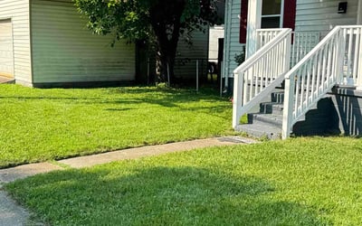 Photo of Ron K.'s yard after getting lawn care in Harrisonburg, VA