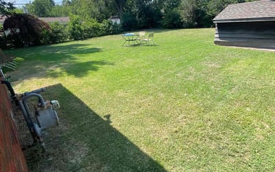Photo of John R.'s yard after getting lawn care in Miramar Beach, FL