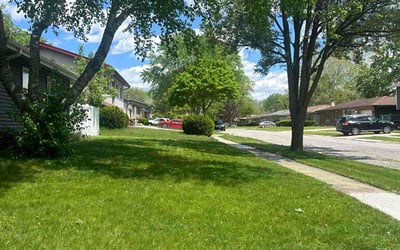 Photo of Noble C.'s yard after getting lawn care in Streamwood, IL