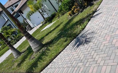 Photo of Elise S.'s yard after getting lawn care in Ruskin, FL
