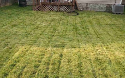 Photo of Jessica B.'s yard after getting lawn care in Wenatchee, WA