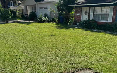 Photo of Sarita N.'s yard after getting lawn care in Scotch Plains, NJ