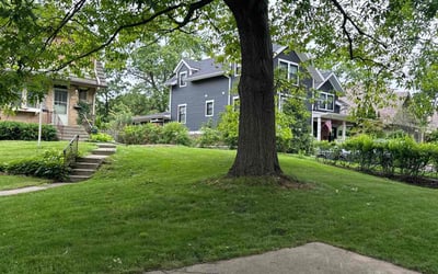 Photo of Sally M.'s yard after getting lawn care in Glen Ellyn, IL