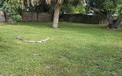 Photo of Dawn C.'s yard after getting lawn care in Mason, OH