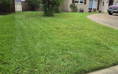 Photo of Nikki H.'s yard after getting lawn care in Ennis, TX
