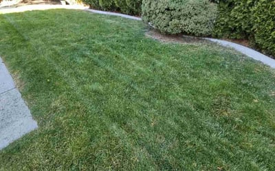 Photo of Jay N.'s yard after getting lawn care in Meridian, ID