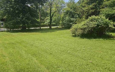 Photo of Charlie M.'s yard after getting lawn care in Temple Hills, MD