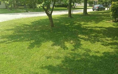 Photo of Peyman H.'s yard after getting lawn care in Waterloo, IL