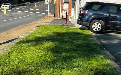 Photo of Monique G.'s yard after getting lawn care in Columbia, MD