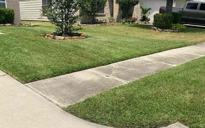 Photo of Judy B.'s yard after getting lawn care in Dunnellon, FL