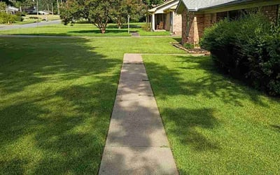 Photo of Jamie N.'s yard after getting lawn care in Rockport, TX