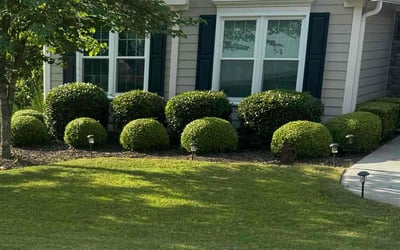 Photo of Dar K.'s yard after getting lawn care in Marietta, GA