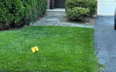 Photo of Megan M.'s yard after getting lawn care in Brunswick, MD