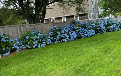 Photo of Nancy S.'s yard after getting lawn care in Falmouth, MA