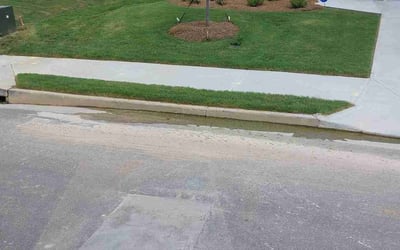 Photo of Ariel B.'s yard after getting lawn care in Dacula, GA