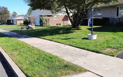 Photo of Emily H.'s yard after getting lawn care in Lebanon, PA