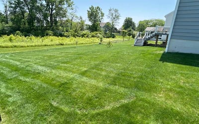 Photo of Lorenzo D.'s yard after getting lawn care in Ocean View, DE