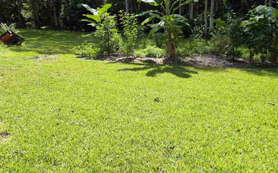 Photo of Michelle K.'s yard after getting lawn care in Ormond Beach, FL