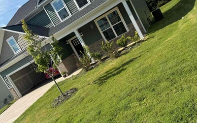 Photo of Angelina R.'s yard after getting lawn care in Advance, NC