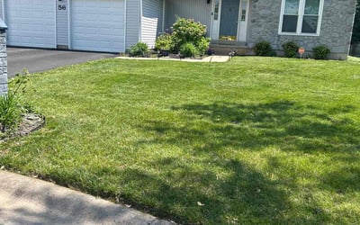Photo of Thomas C.'s yard after getting lawn care in Elmhurst, IL