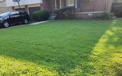 Photo of Zach V.'s yard after getting lawn care in Little Rock, AR