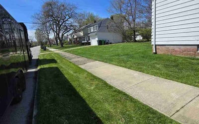 Photo of Glen W.'s yard after getting lawn care in Euclid, OH