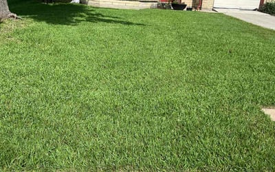 Photo of Susan H.'s yard after getting lawn care in Amelia, OH