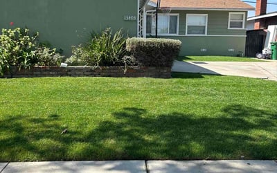 Photo of Judy B.'s yard after getting lawn care in Gardena, CA