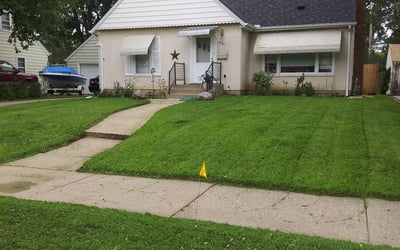 Photo of Jane Y.'s yard after getting lawn care in Hastings, MN