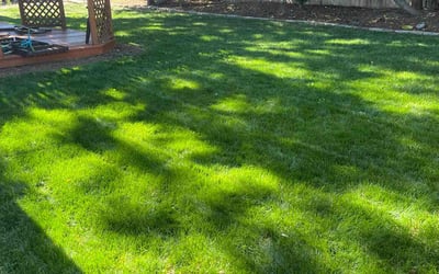 Photo of Caitlin H.'s yard after getting lawn care in Boise City, ID