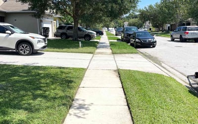 Photo of Renice M.'s yard after getting lawn care in Newburgh, NY