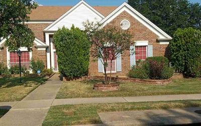 Photo of Philip W.'s yard after getting lawn care in Goldsboro, NC