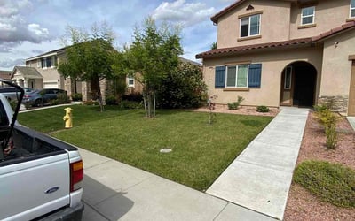 Photo of Diana M.'s yard after getting lawn care in Roseville, CA