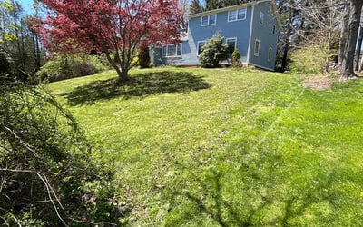 Photo of Richard B.'s yard after getting lawn care in Middletown, CT