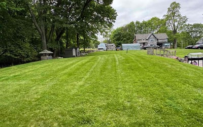 Photo of Matt F.'s yard after getting lawn care in Crawfordville, FL