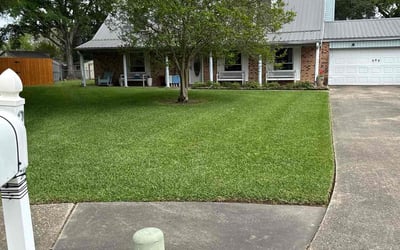 Photo of Robin A.'s yard after getting lawn care in Lafayette, LA