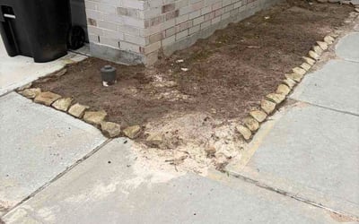 Photo of Jeremy H.'s yard after getting lawn care in Nutley, NJ