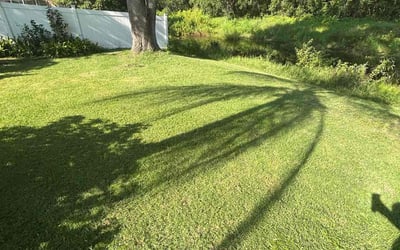 Photo of Tiffany B.'s yard after getting lawn care in Meridian, ID