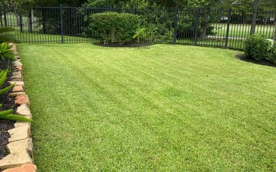 Photo of Karol W.'s yard after getting lawn care in Galena Park, TX