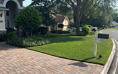 Photo of Jose F.'s yard after getting lawn care in Homosassa, FL