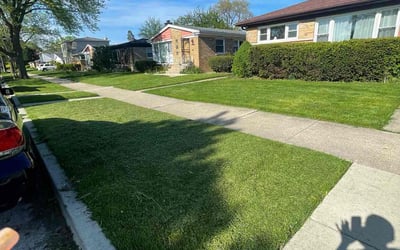 Photo of Angelica L.'s yard after getting lawn care in Skokie, IL