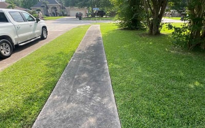 Photo of David C.'s yard after getting lawn care in Bedford, MA