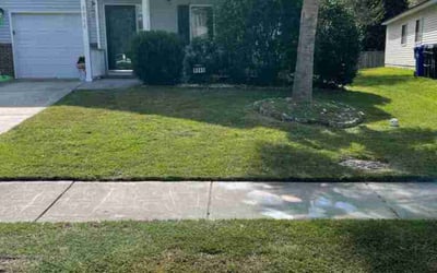 Photo of Sean R.'s yard after getting lawn care in Roseville, MI