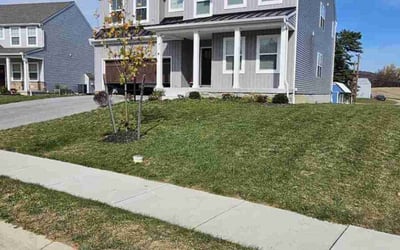 Photo of Ed H.'s yard after getting lawn care in North Wales, PA