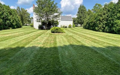 Photo of Cullen M.'s yard after getting lawn care in South Windsor, CT