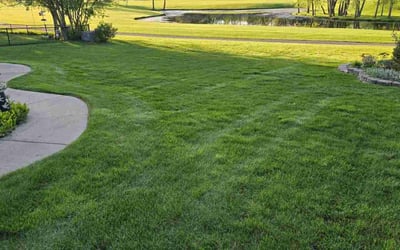 Photo of Susan C.'s yard after getting lawn care in Streamwood, IL