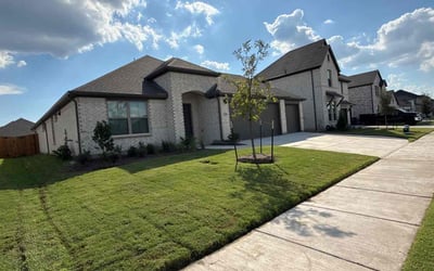 Photo of Angela G.'s yard after getting lawn care in Muskegon, MI